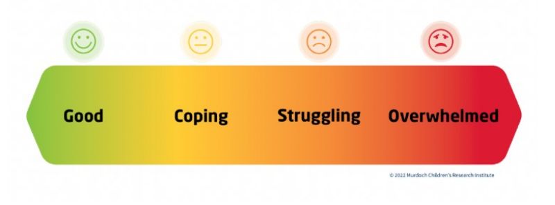 Murdoch Children's Emotional Scale